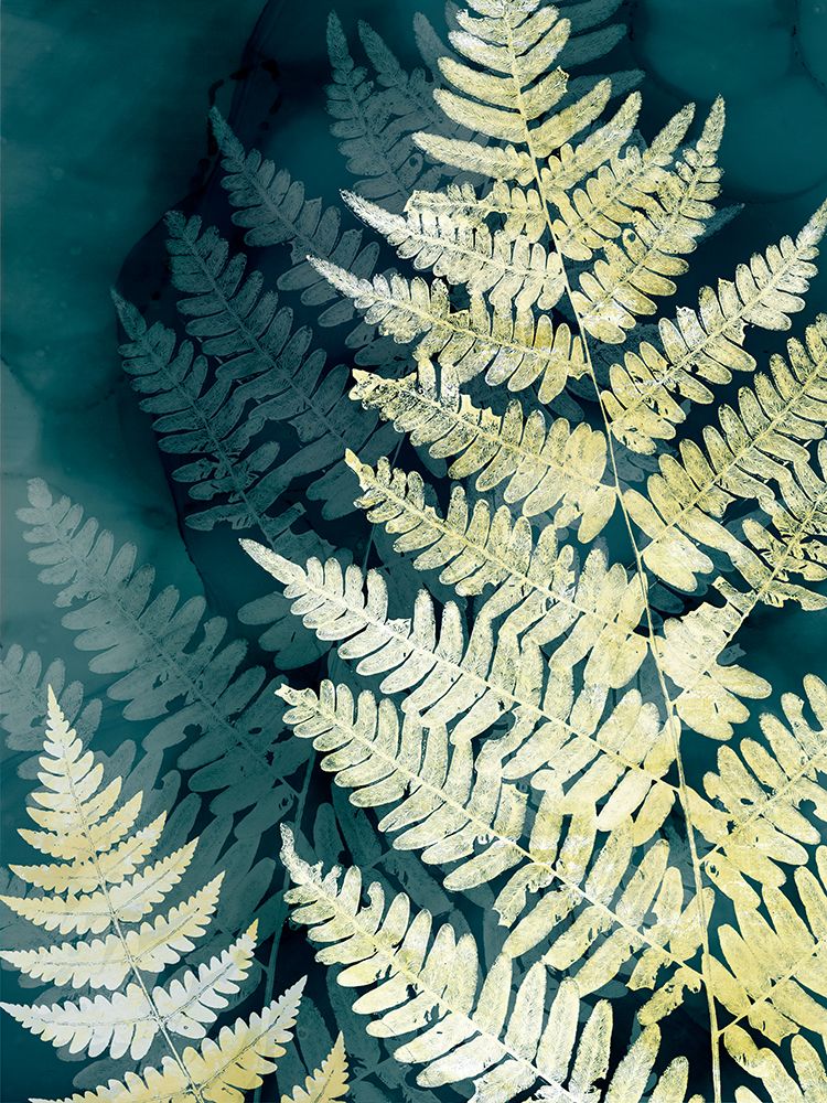 Fern Shadows on Dark Waters art print by Hannah Dawson for $57.95 CAD