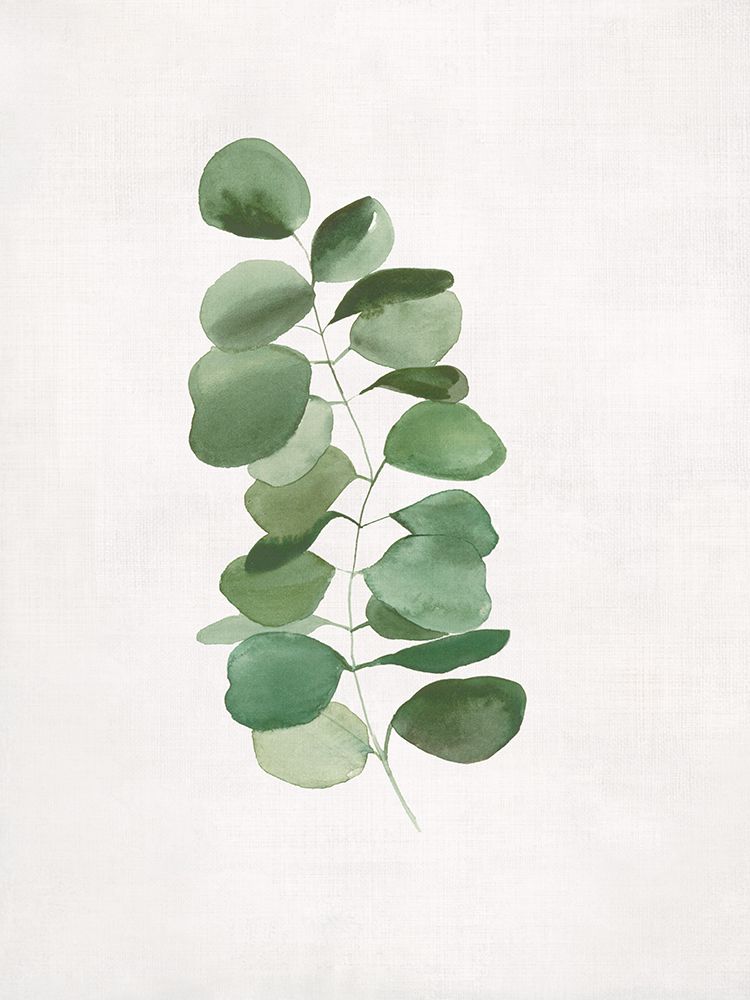Eucalyptus Simplicity on Canvas art print by Hannah Dawson for $57.95 CAD