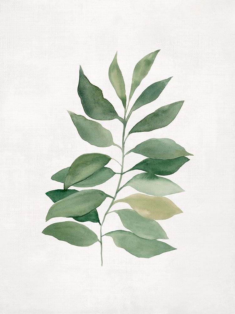 Serene Green Leaf Arrangement art print by Hannah Dawson for $57.95 CAD