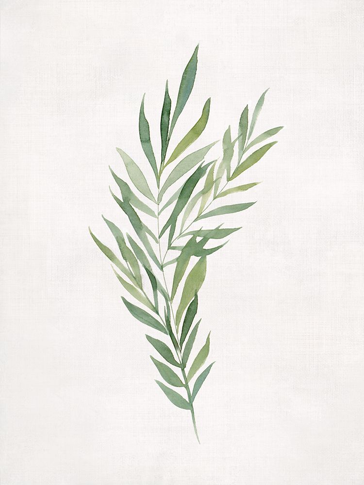Greenery on Simple Canvas art print by Hannah Dawson for $57.95 CAD
