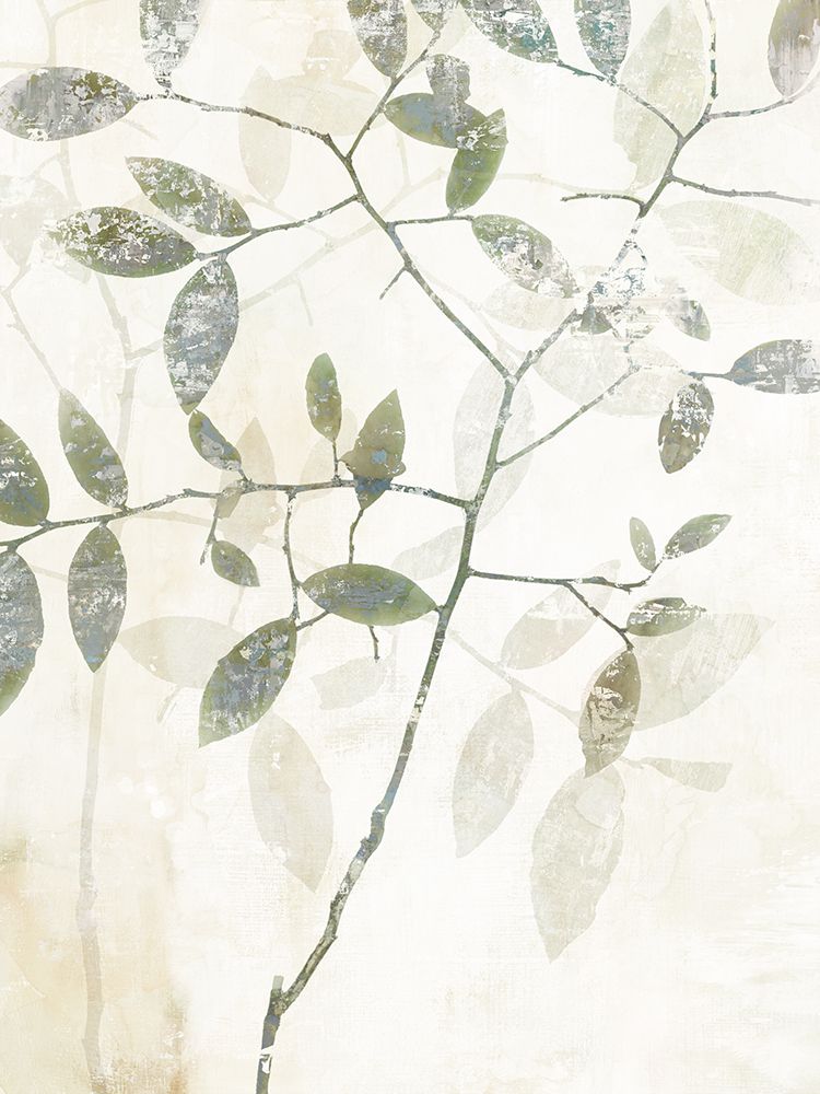 Branches in Soft Focus Canvas art print by Hannah Dawson for $57.95 CAD