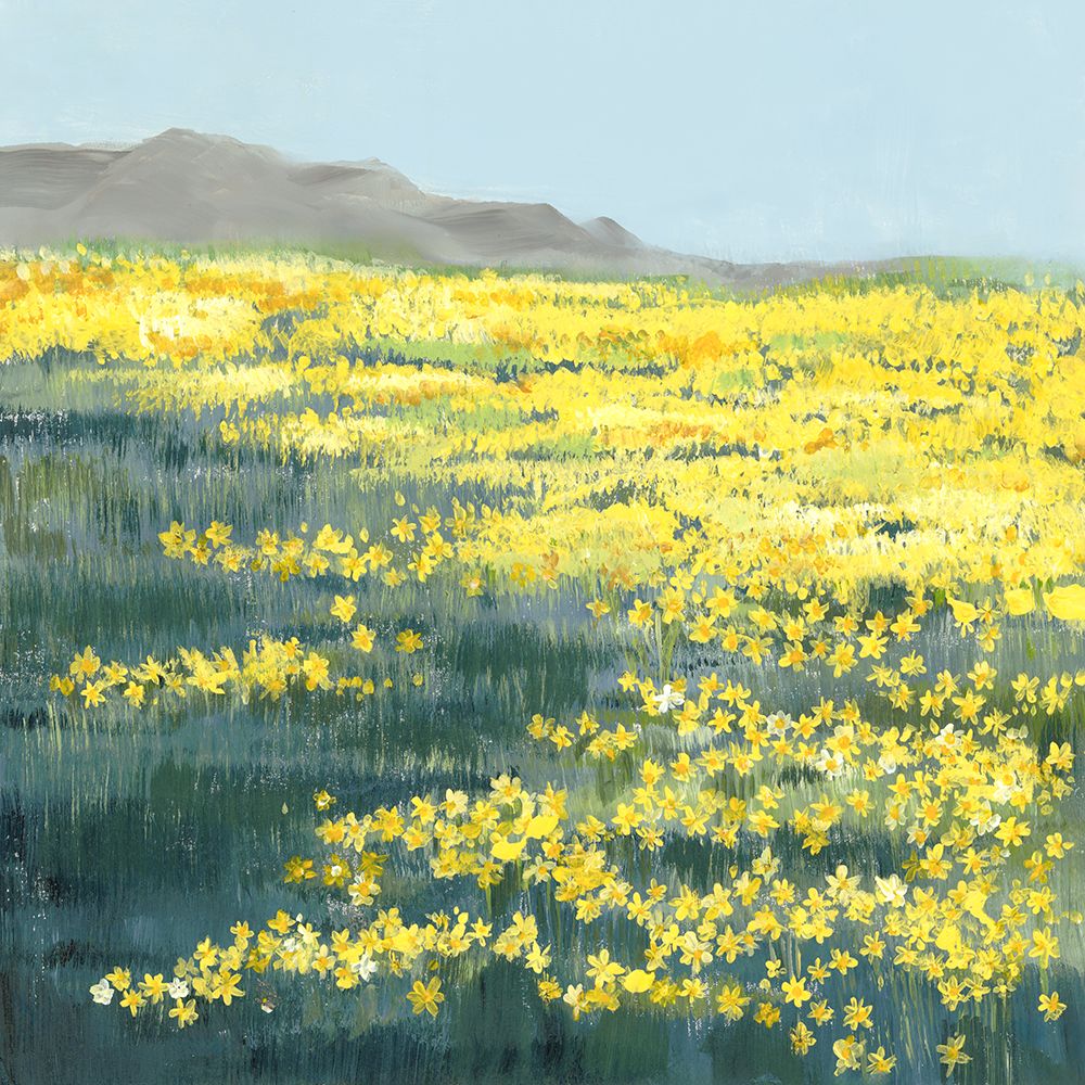 Field of Golden Blossoms art print by Hannah Dawson for $57.95 CAD