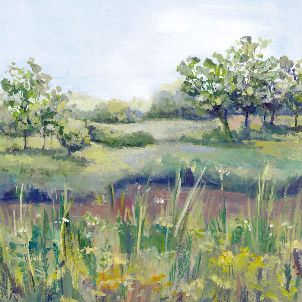 Tranquil Meadow in Sunlight art print by Hannah Dawson for $57.95 CAD