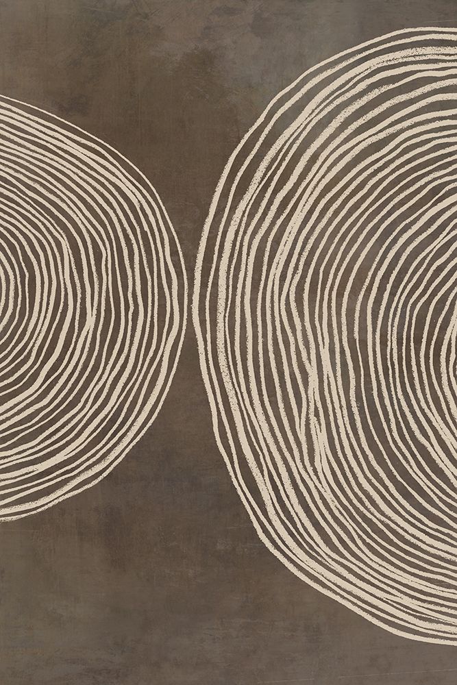 Concentric Whorls on Earthy Canvas II art print by Hannah Dawson for $57.95 CAD