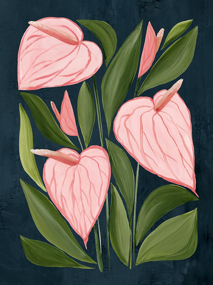 Pink Anthuriums Against Dark Blue art print by Hannah Dawson for $57.95 CAD