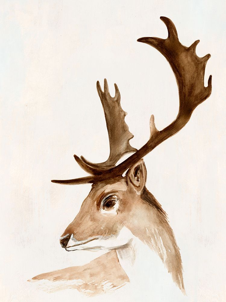 Majestic Stag in Watercolor Form art print by Hannah Dawson for $57.95 CAD