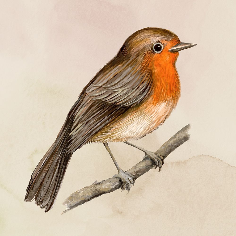 Vibrant Robin on a Branch art print by Hannah Dawson for $57.95 CAD