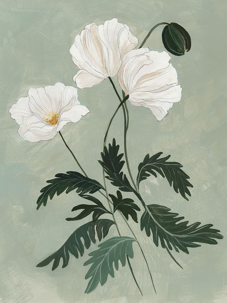 White Poppies on Green Background I art print by Hannah Dawson for $57.95 CAD