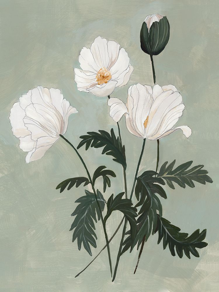 White Poppies on Green Background II art print by Hannah Dawson for $57.95 CAD