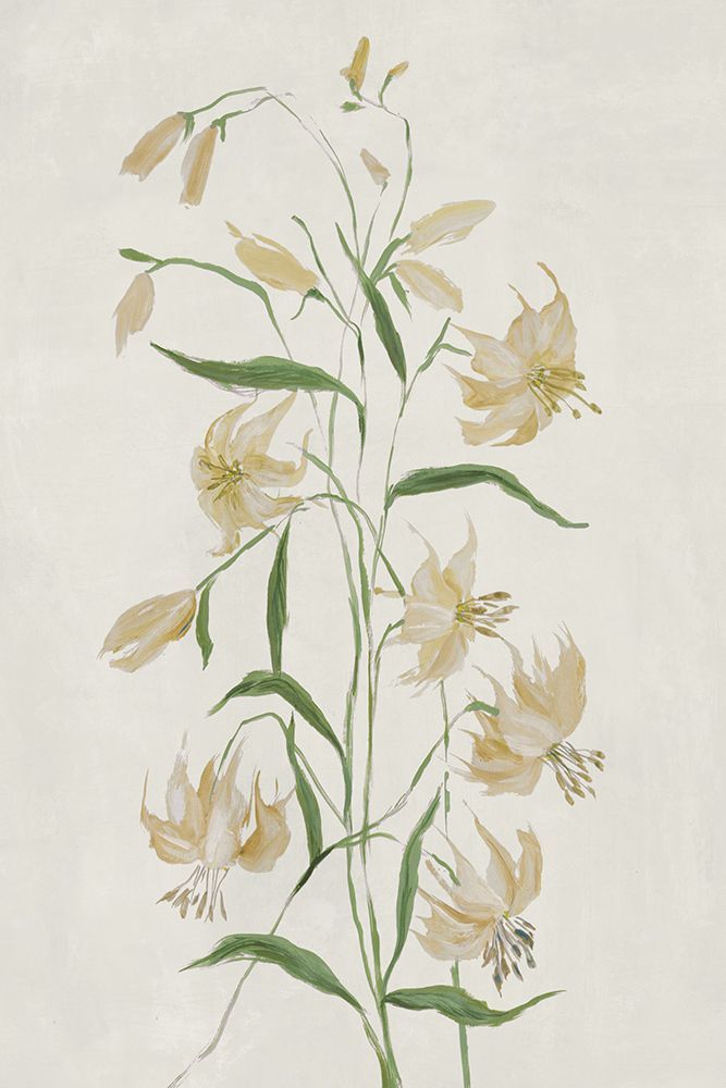Yellow Blossoms on Pale Canvas art print by Hannah Dawson for $57.95 CAD