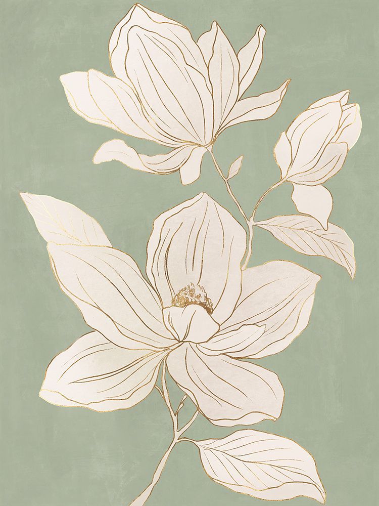 Delicate Magnolia on Sage Background I art print by Hannah Dawson for $57.95 CAD
