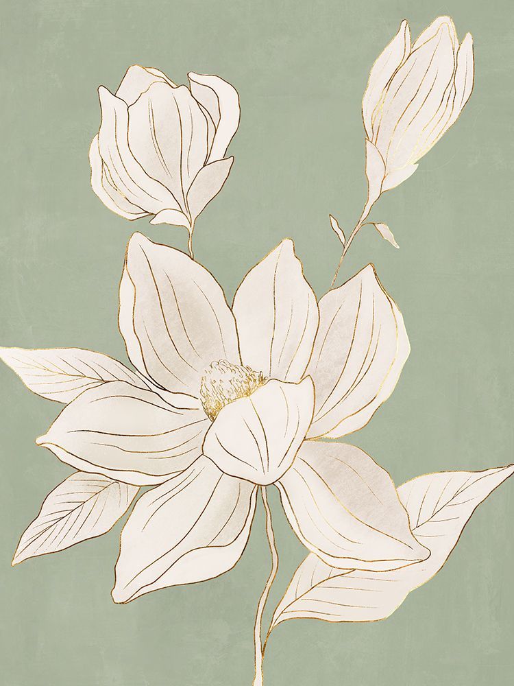 Delicate Magnolia on Sage Background II art print by Hannah Dawson for $57.95 CAD