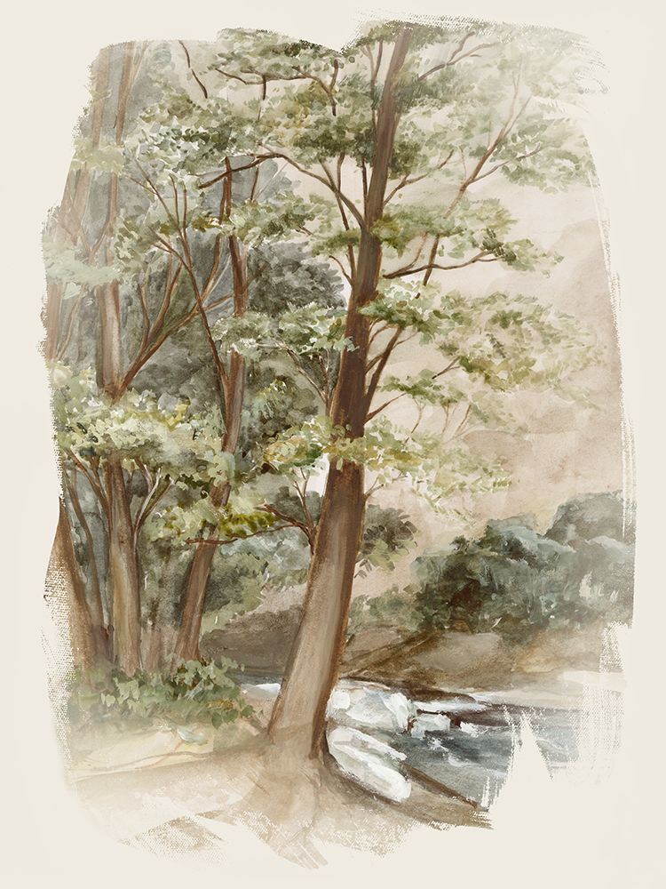 Tranquil Forest Stream art print by Hannah Dawson for $57.95 CAD