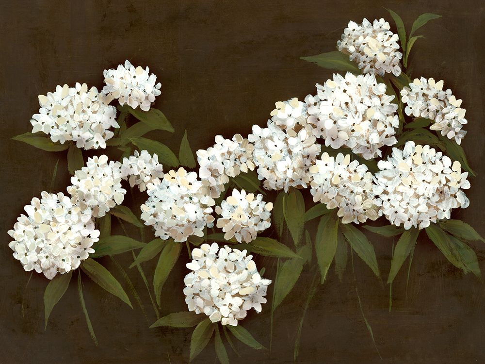 White Blossoms on Dark Background art print by Hannah Dawson for $57.95 CAD