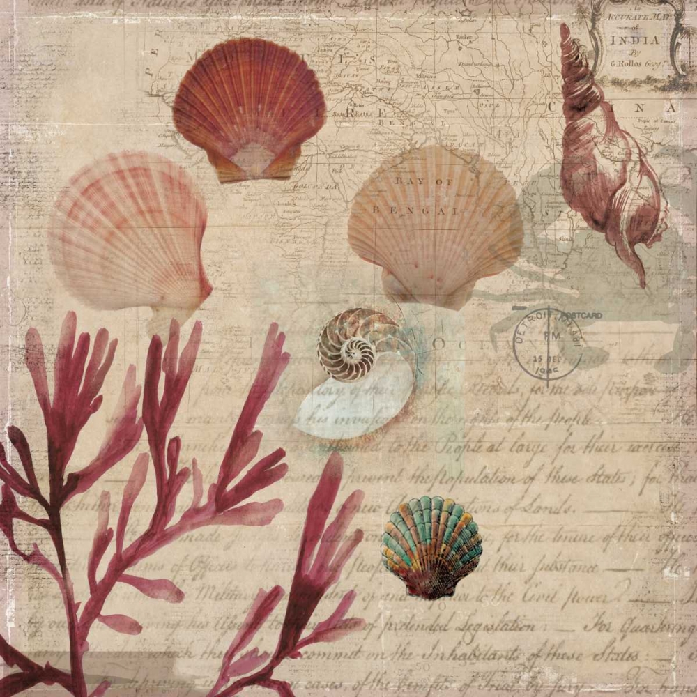 Coral II art print by Aimee Wilson for $57.95 CAD