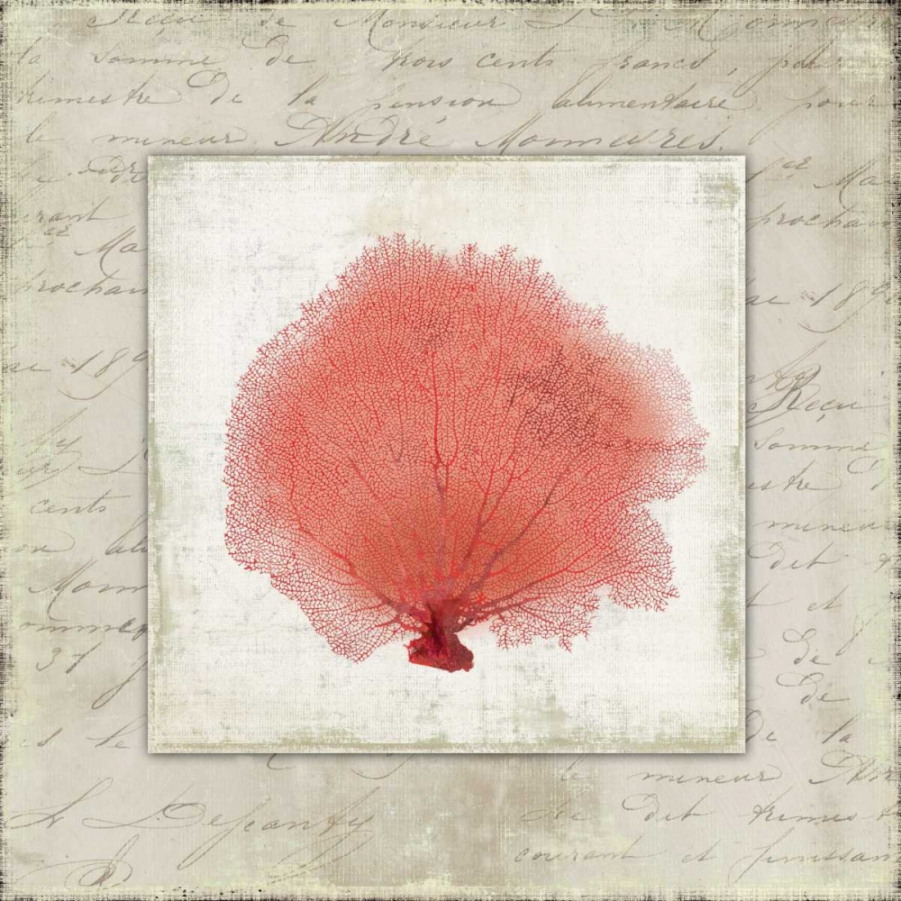 Coral Linen I art print by Aimee Wilson for $57.95 CAD
