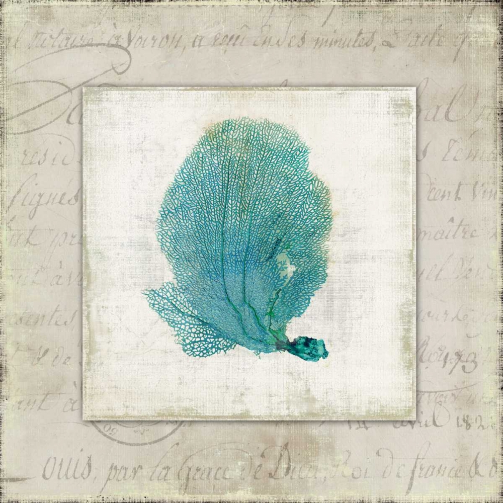 Chambray Coral II art print by Aimee Wilson for $57.95 CAD