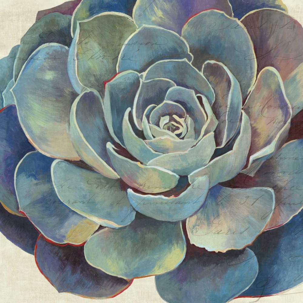 Succulence I - Mini art print by Aimee Wilson for $57.95 CAD