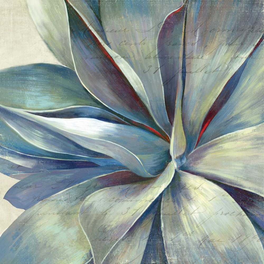 Succulence II - Mini art print by Aimee Wilson for $57.95 CAD