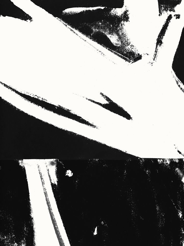 Black And White II art print by Cartissi for $57.95 CAD