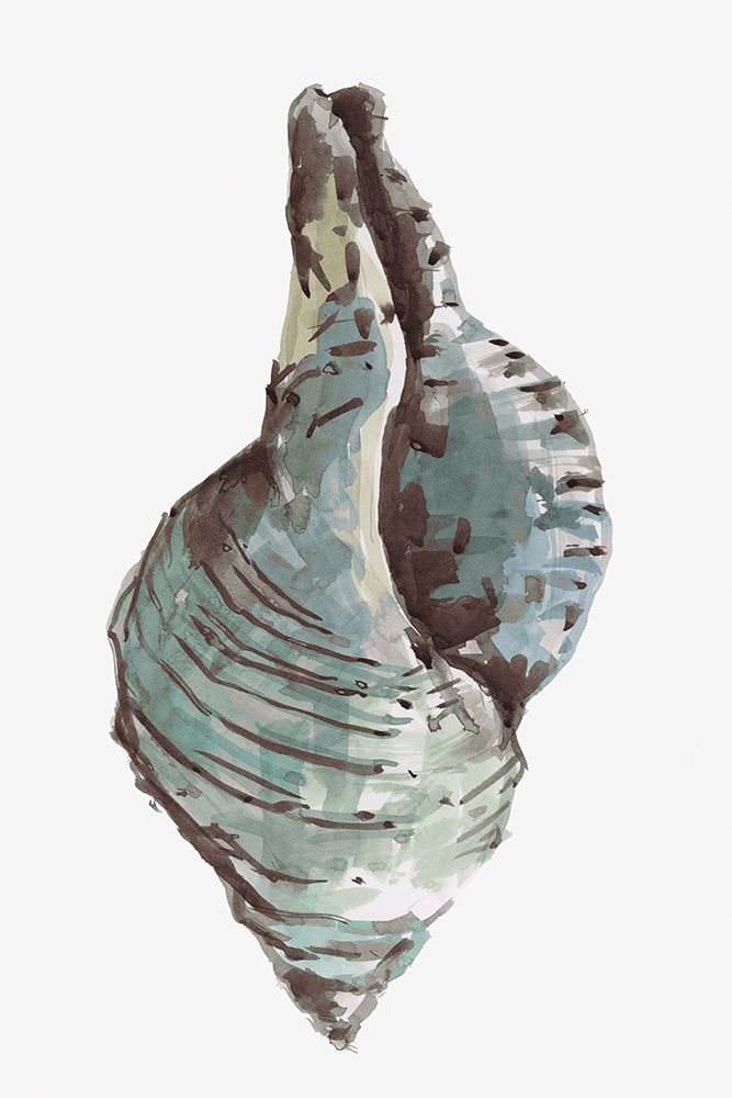 Shell Shapes III art print by Cartissi for $57.95 CAD