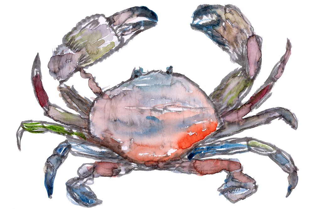 Crab art print by Cartissi for $57.95 CAD