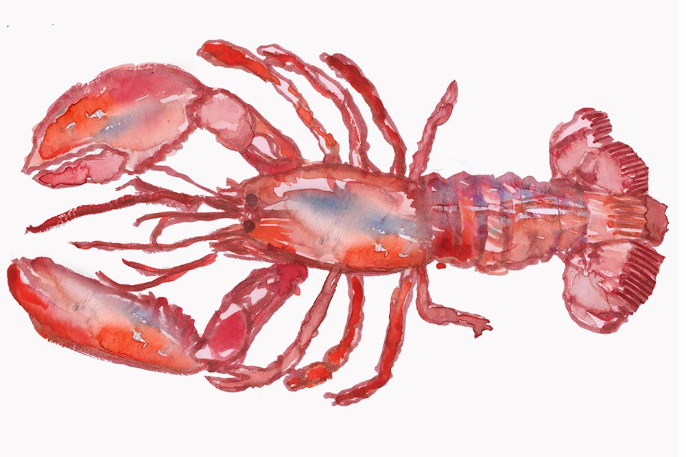 Lobster art print by Cartissi for $57.95 CAD