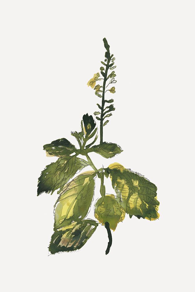 Botany II art print by Cartissi for $57.95 CAD