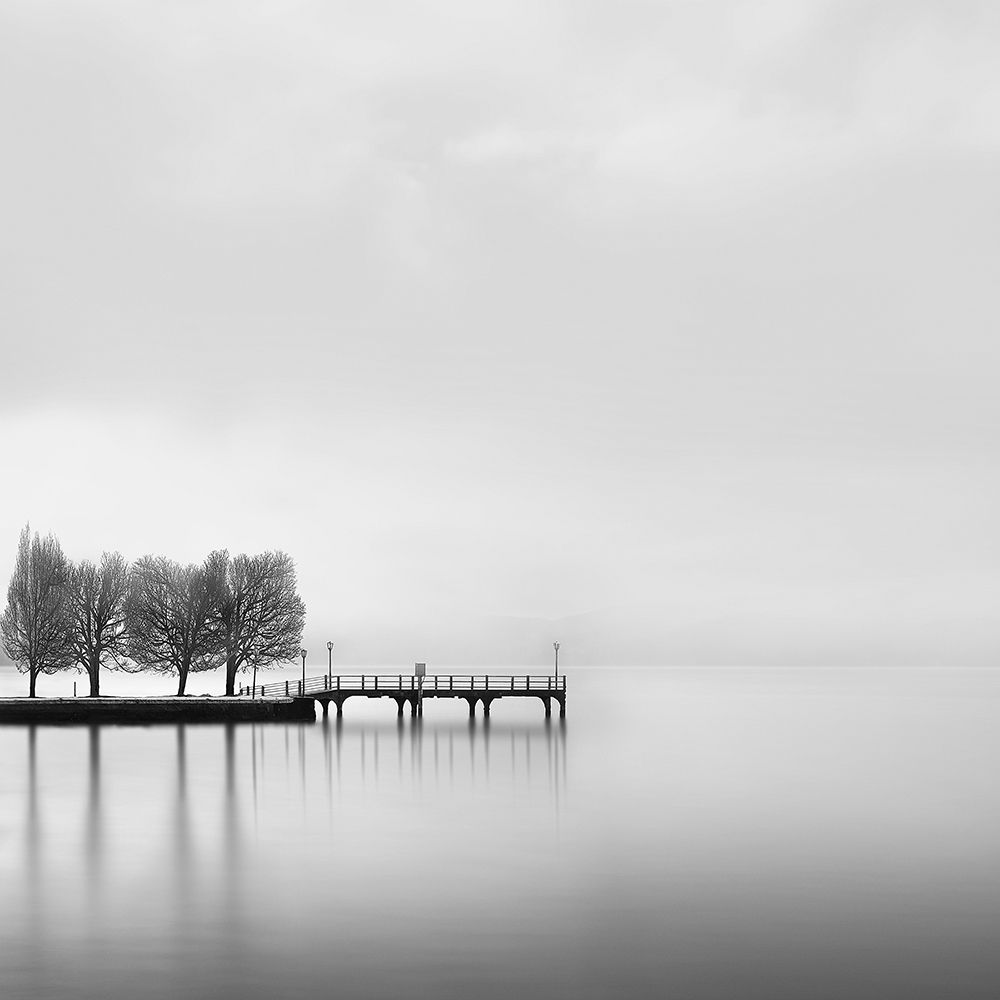 Digalekis - Pier with Trees II art print by 1x for $57.95 CAD