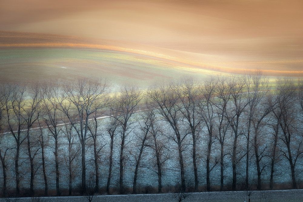 Boguszak - Winter Alley art print by 1x for $57.95 CAD