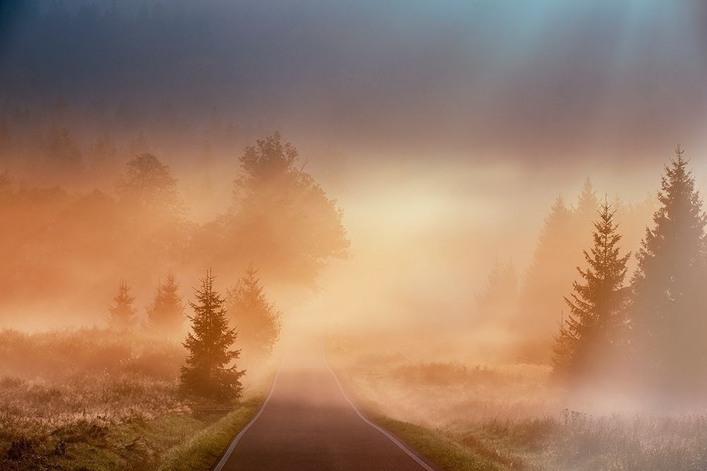 Motl - Magical morning art print by 1x for $57.95 CAD