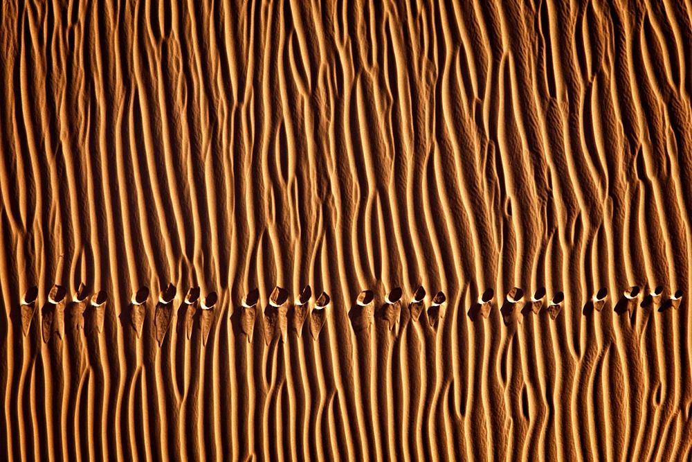 Momeni - Foot Print III art print by 1X for $57.95 CAD