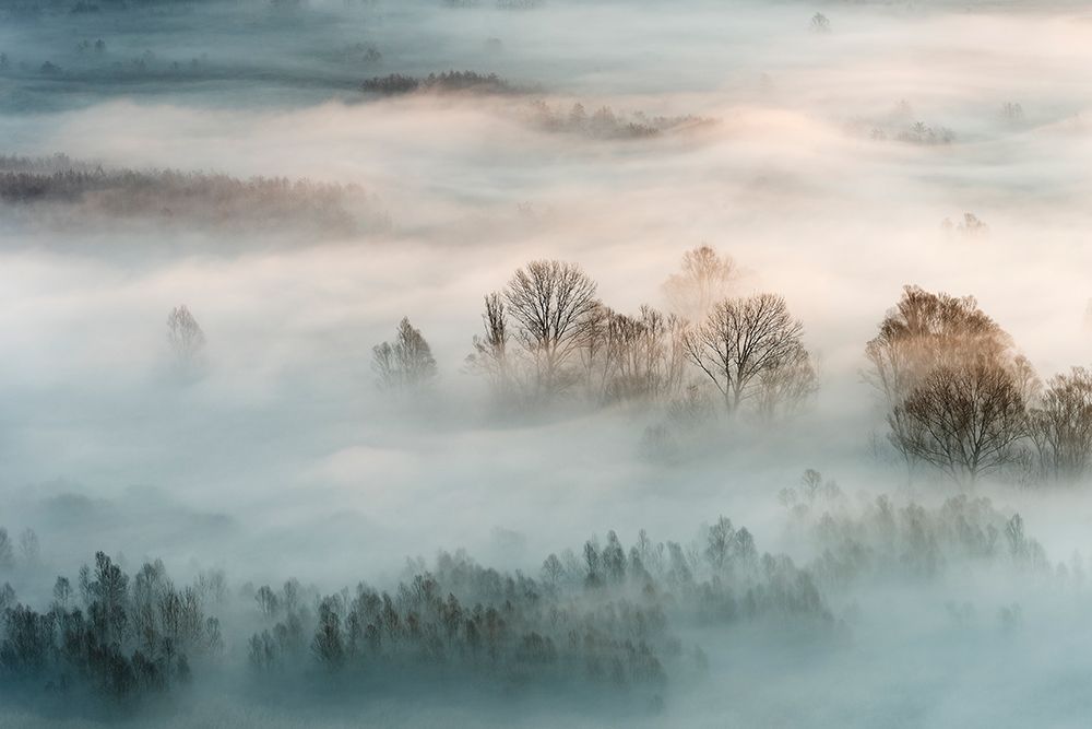 Winter Fog art print by Galimberti for $57.95 CAD