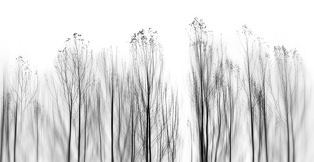 No Grounds art print by Abrantes for $57.95 CAD