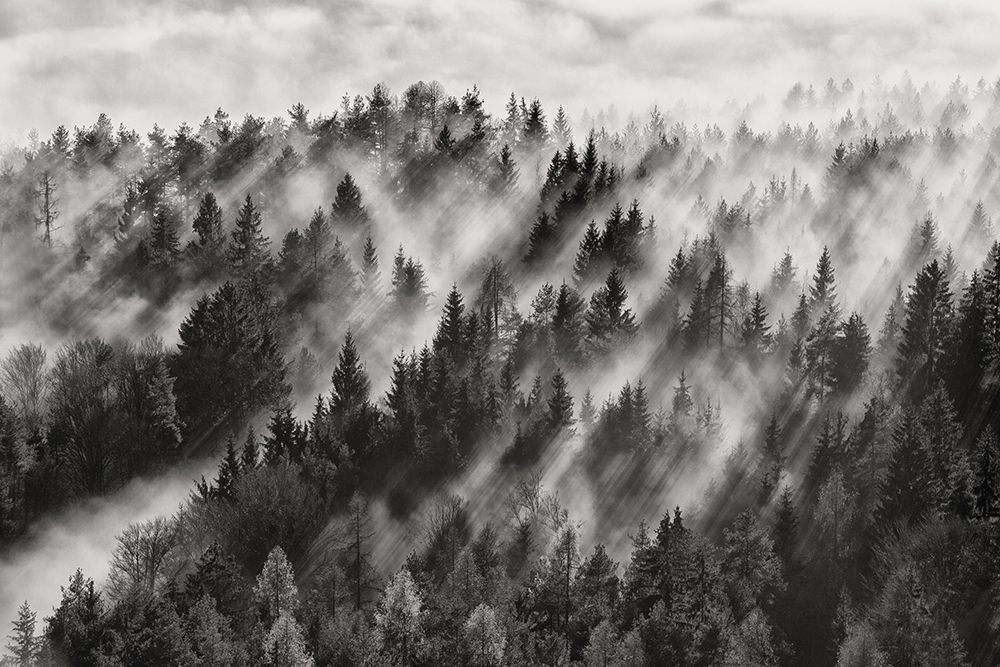 Sundance Evening art print by Baloh for $57.95 CAD