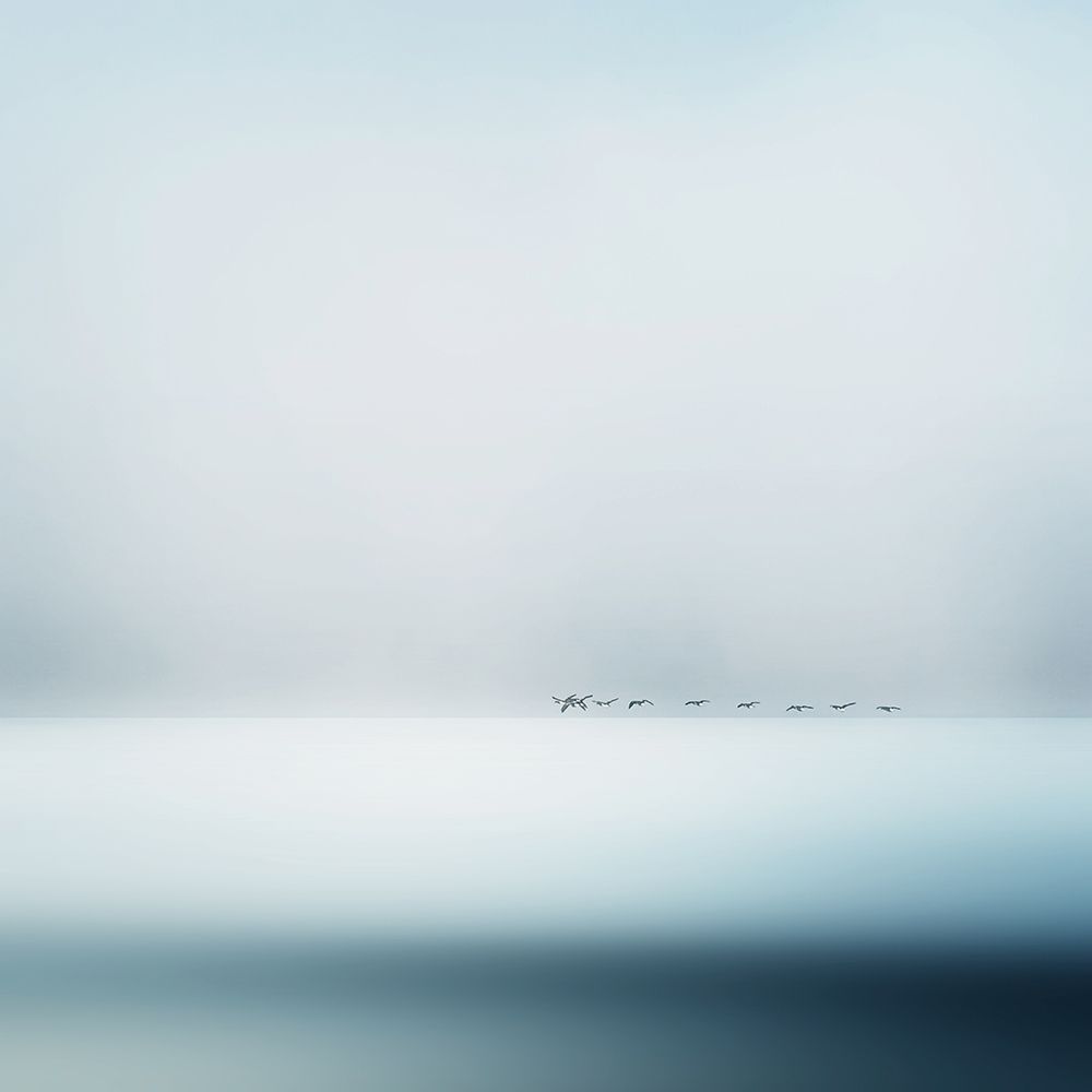 Wild Geese art print by Flour for $57.95 CAD
