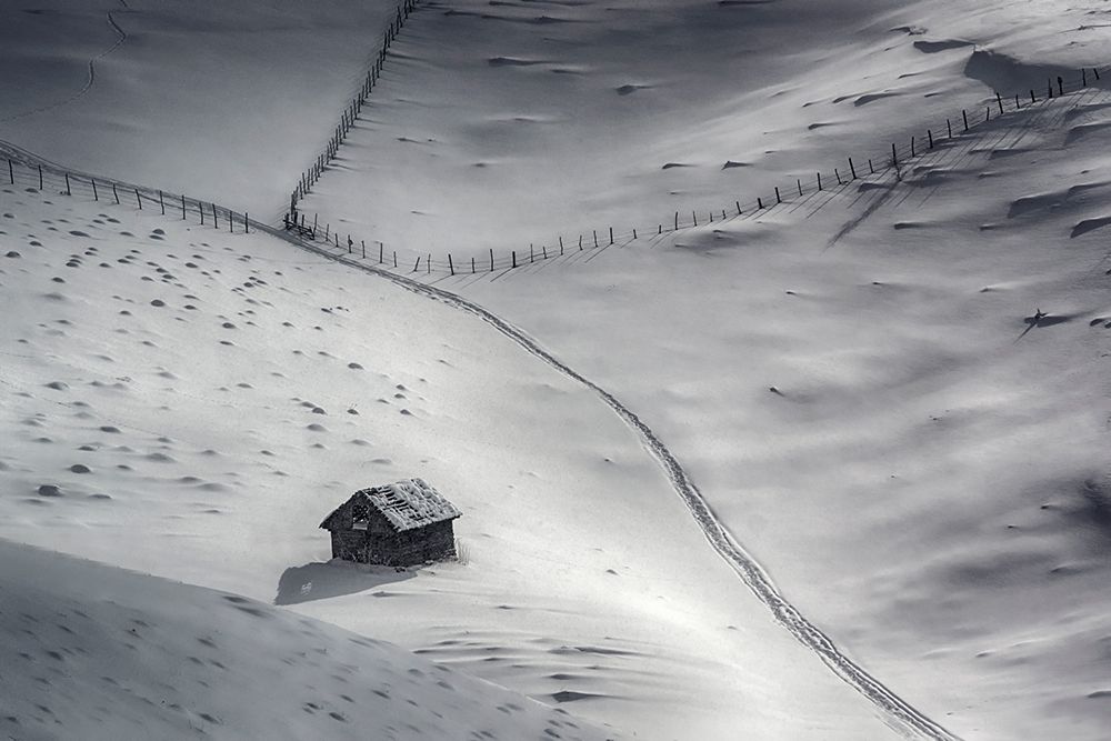 Winter Light art print by Dulu for $57.95 CAD