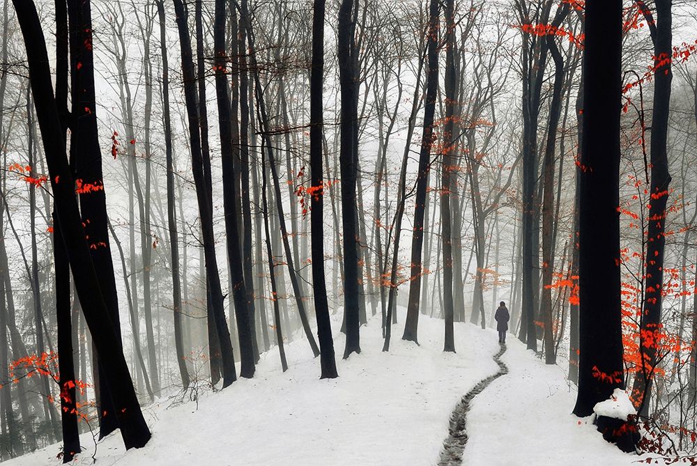 Through autumn and winter art print by Krivec for $57.95 CAD