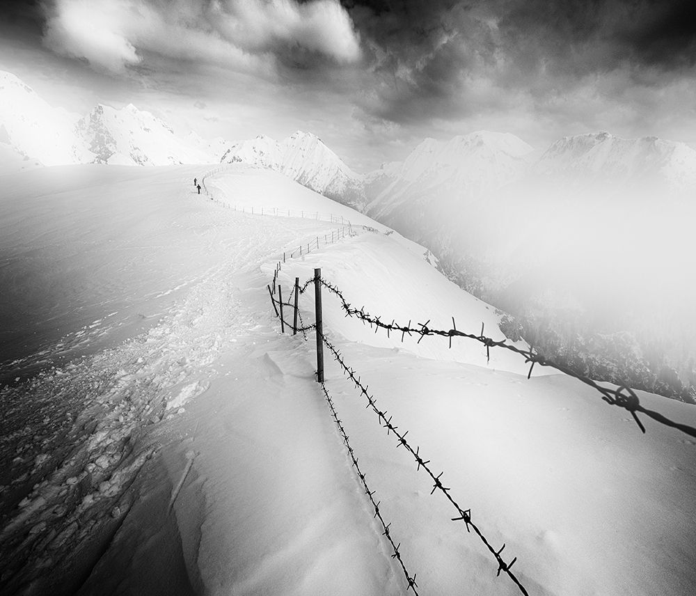 Into the White art print by Rebustini for $57.95 CAD