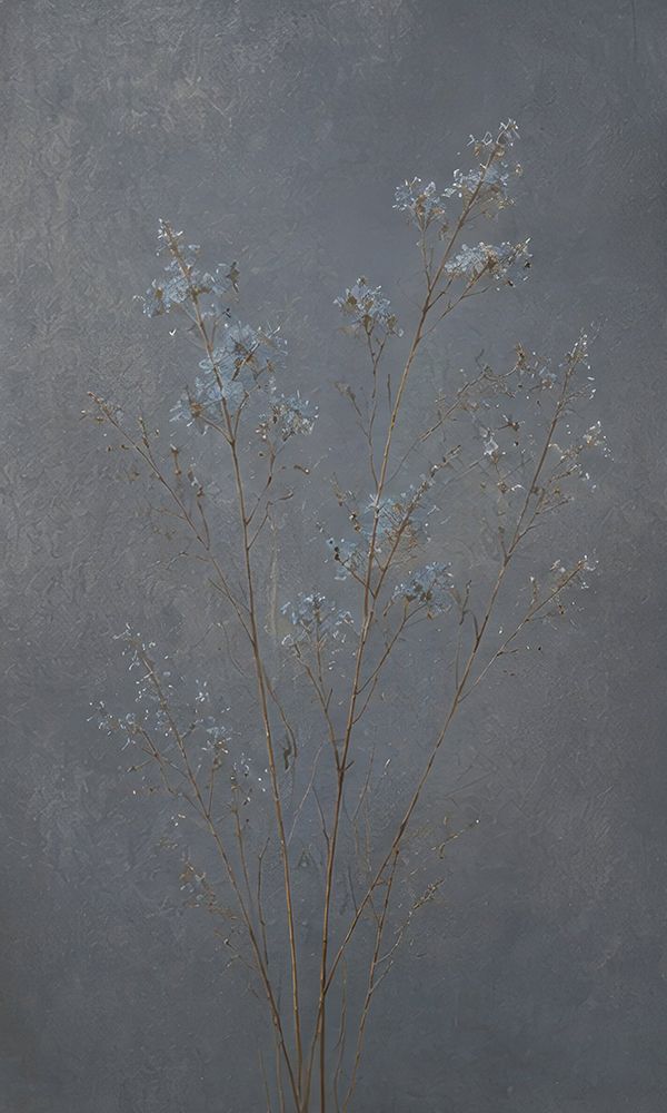Delicate Blooms Against Gray Background art print by Elara Yasna for $57.95 CAD