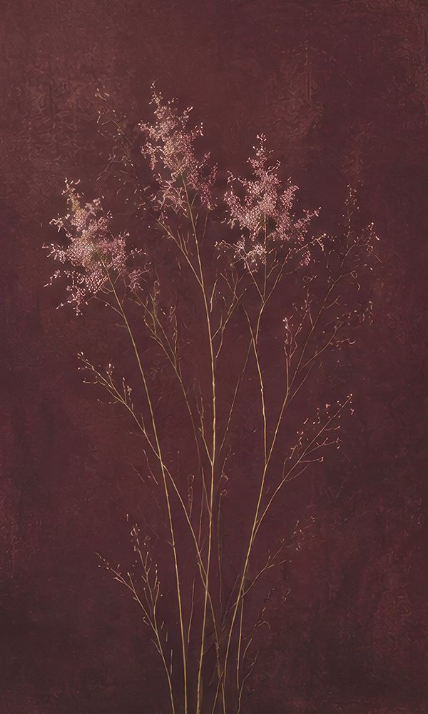 Delicate Stems on Deep Maroon art print by Elara Yasna for $57.95 CAD