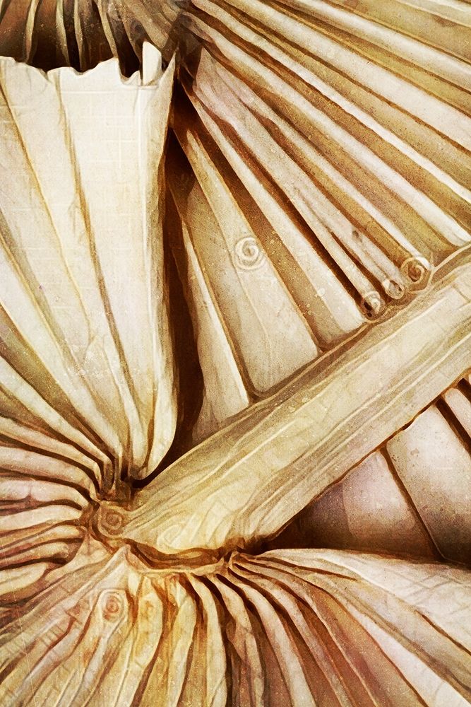 Natural Dried Palms I art print by Ashley Aldridge for $57.95 CAD