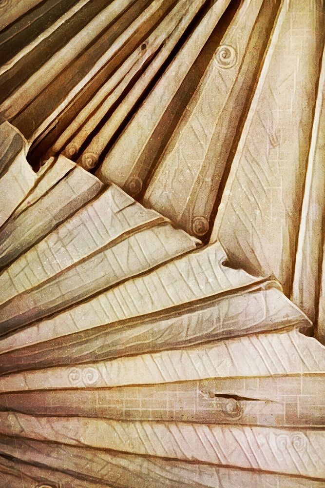 Natural Dried Palms II art print by Ashley Aldridge for $57.95 CAD