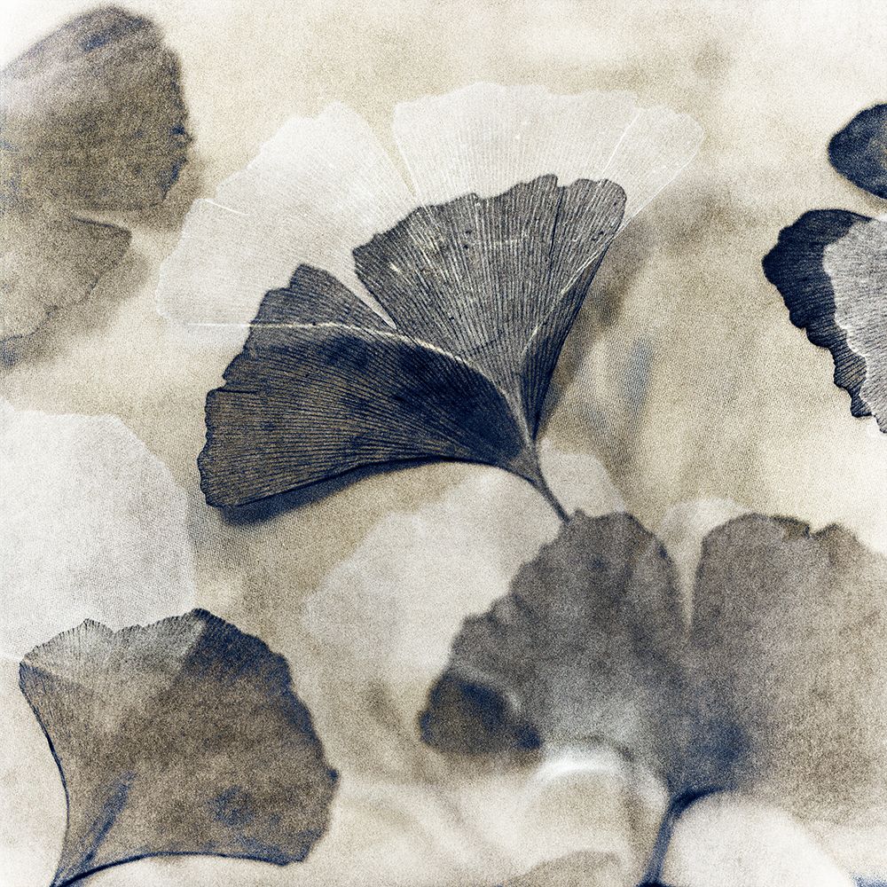 Blooming II art print by YK Studios for $57.95 CAD