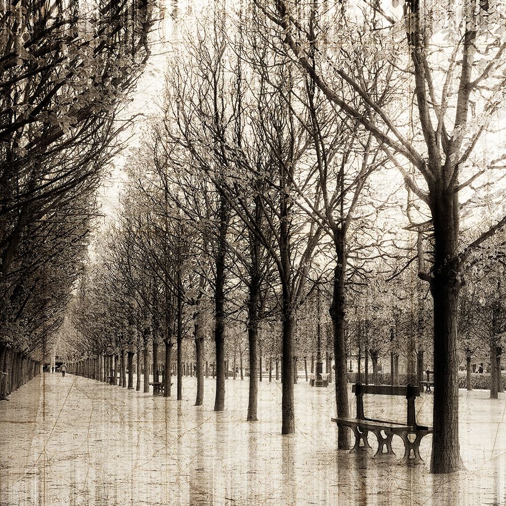 Blurred Visions I art print by YK Studios for $57.95 CAD