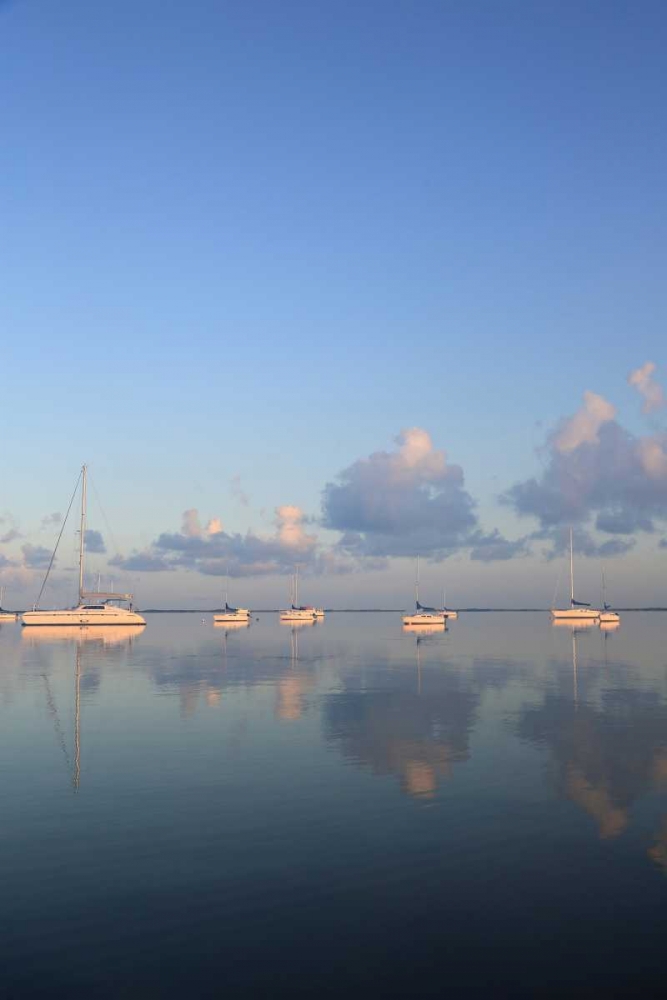 Sunrise Sails art print by Brent Anderson for $57.95 CAD