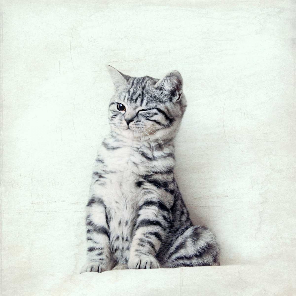 Cat Winks art print by Nadia Attura for $57.95 CAD