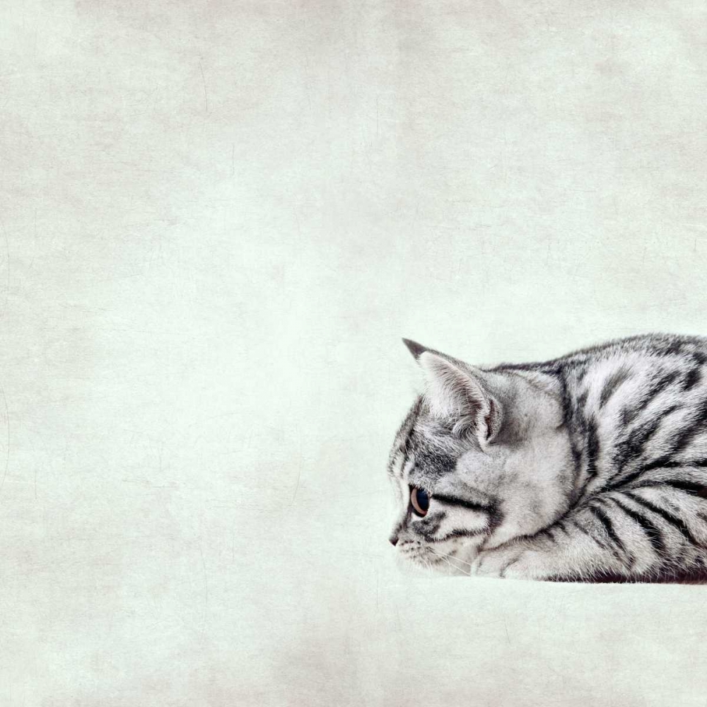 In The Waiting Line art print by Nadia Attura for $57.95 CAD