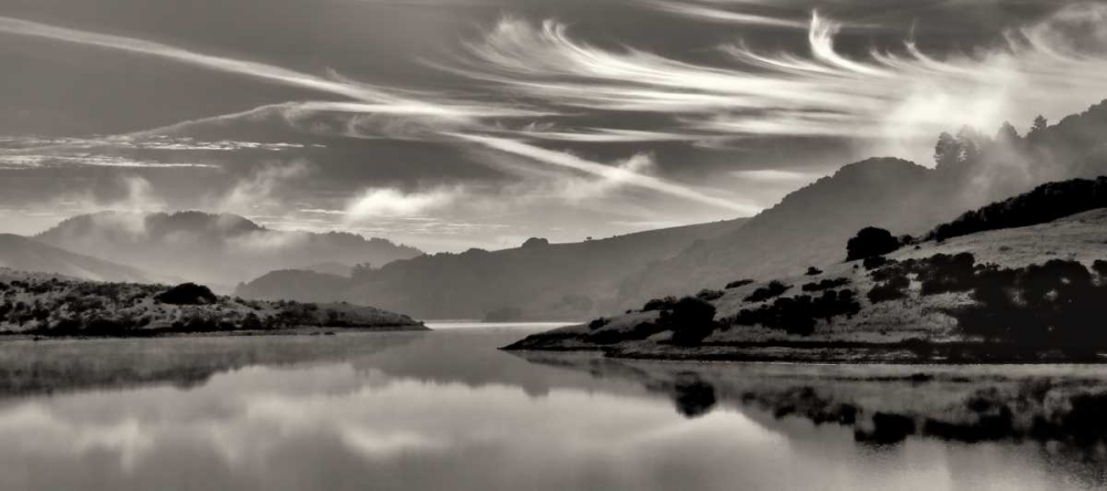 Cirrus art print by Lucy Aron for $57.95 CAD