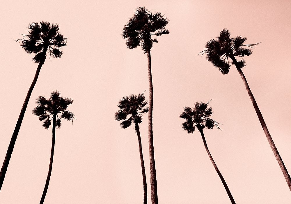 Palm Trees 1997 Copper art print by Erik Asla for $57.95 CAD